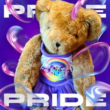 Vermont Teddy Bear Co My Little Pony Build A Bear Rainbow Power LGBTQ Pride Love