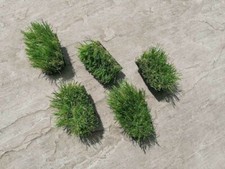 5 Fake grass micro geocache containers, With Rite In The Rain Log