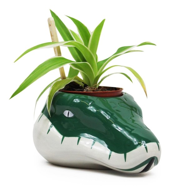 Gadget - Harry Potter: Half Moon Bay - Slytherin (Plant Pot / Vaso Da Fiori) -D--image