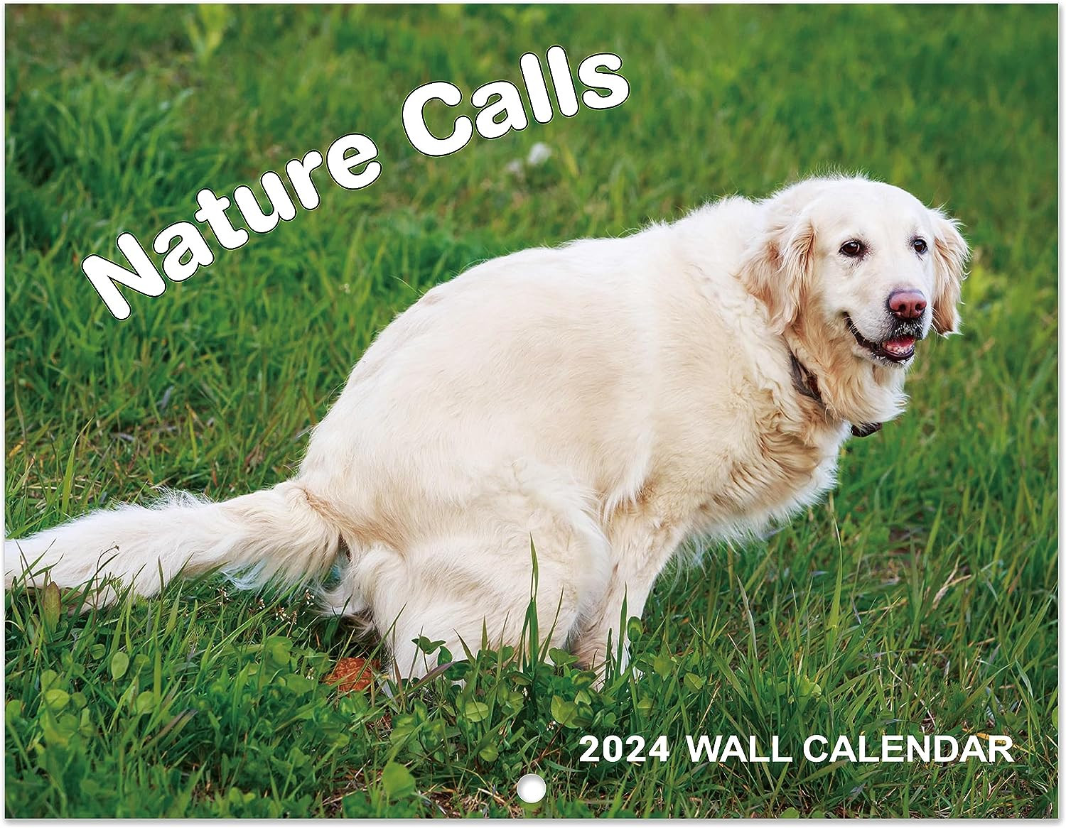 Gag Gifts 2024 Wall Calendar, White Elephants Pooping Dogs, Calendar