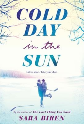 Cold Day in the Sun : A Novel Paperback Sara Biren