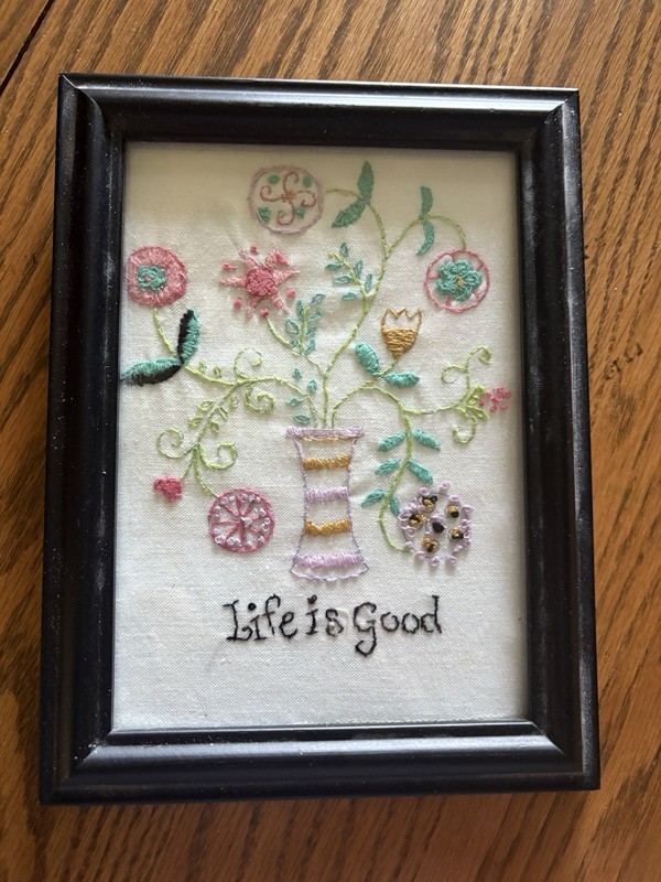 “Life Is Good” Finished & Framed Embroidered Piece. Janlynn Design.