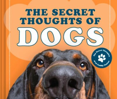 The Secret Thoughts of Dogs by Cj Rose: New