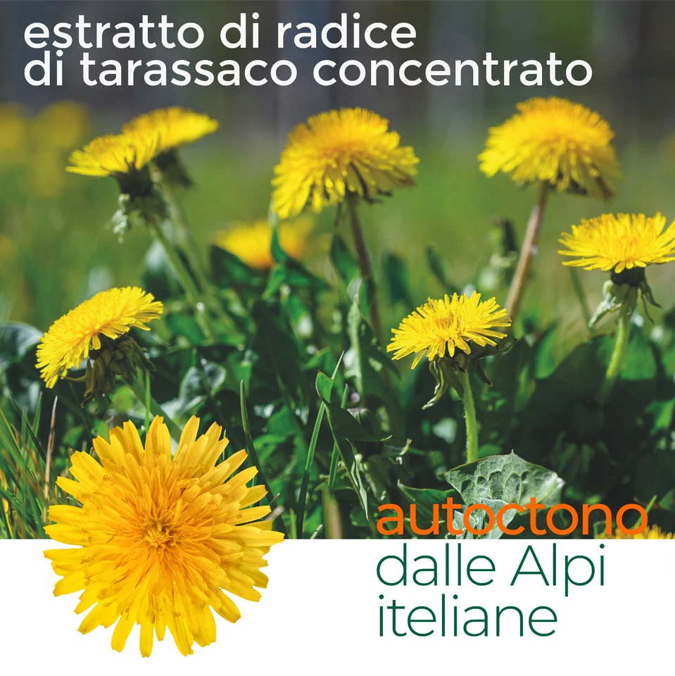 Integratore Tarassaco in Gocce 100ml Detox Fegato e Intestino Drenante Forte - Immagine 4 di 4