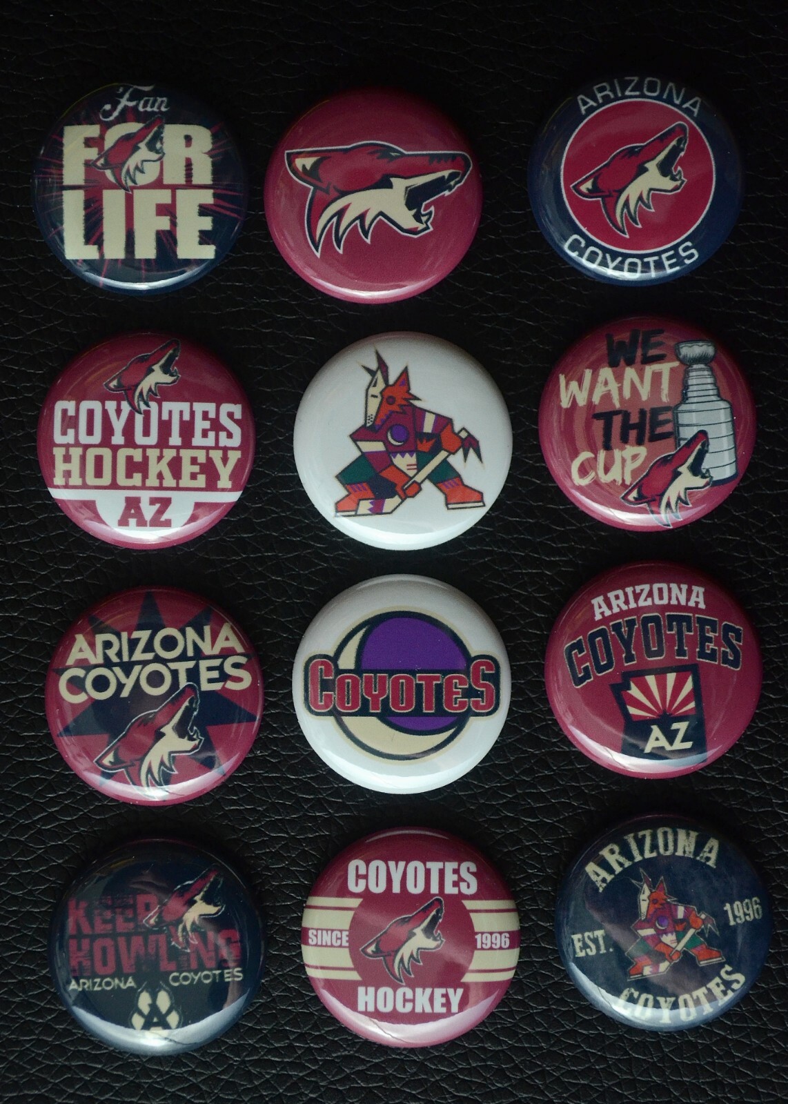Arizona Coyotes Hockey - 1