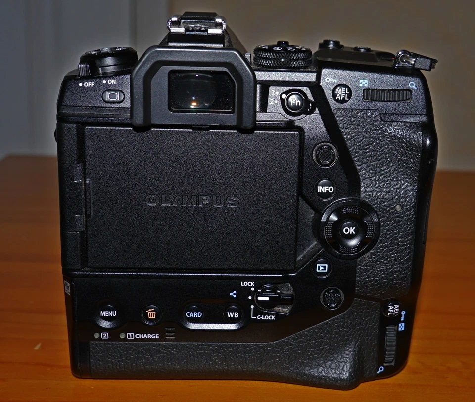 Olympus OM-D E-M1X, photo 3 of 5