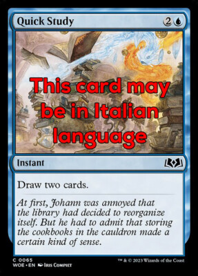 MTG QUICK STUDY FOIL EXC - EILSTUDIO 65 - WOE - MAGIC
