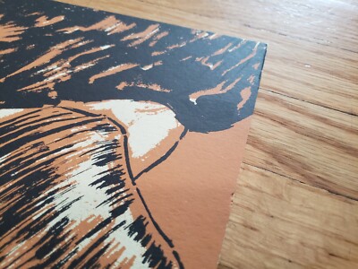 Andrew Bird 2013 