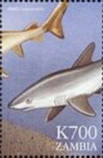 Zambia #Mi1044 MNH 1999 Mako Shark [826l]