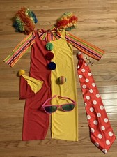 Child/Teen Clown Halloween Costume, Rainbow Wigs, Colorful Jumpsuit, more Medium