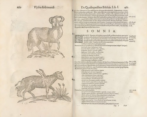 Ulisse Aldrovandi - Monsters Natural History Zoology Ornithology -8 Books on DVD - Picture 10 of 24