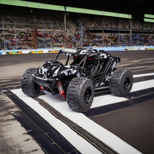 RC Car 2.4GHz 1:18 Scale Racing Rtr Off Road Truck Remote Control High Speed - Picture 13 of 18