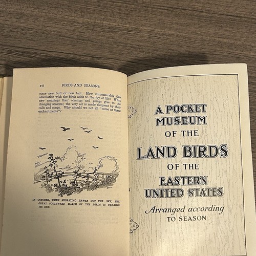 Vintage 1923 Edition ‘What Bird Is That?’ By Frank M. Chapman - 301 Color Images - Picture 13 of 14