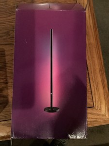 RGBICW Floor Lamp Premium LED Color Changing,music Sync NIB