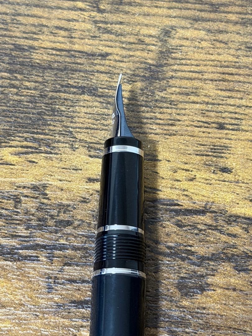 PILOT SE NIB Fountain Pen 14K Metal Grip Elabo Luxury Write Authentic Rare