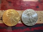 (2) Walking liberty Silver Eagle 2002, and 2015 $1 Dollar 1oz  .999 Fine Silver