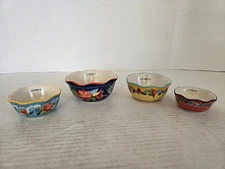 4 Piece Pioneer Woman Nesting Measuring Bowls Cups Floral Ceramic FREE SHIPPING