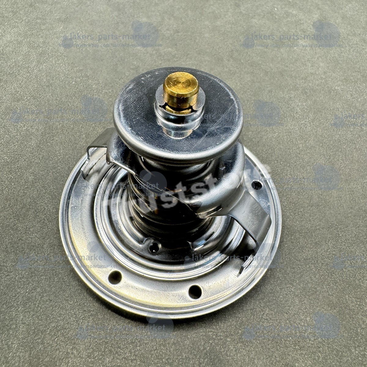 Audi R8 Thermostat P/N 079198121