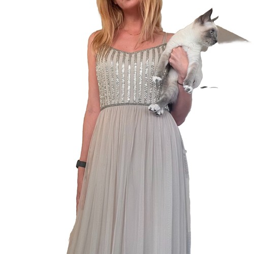 Neu mit Etikett Adrianna Papell Größe 6 lang Perlen Chiffon Maxi Abend formelles Kleid beige
