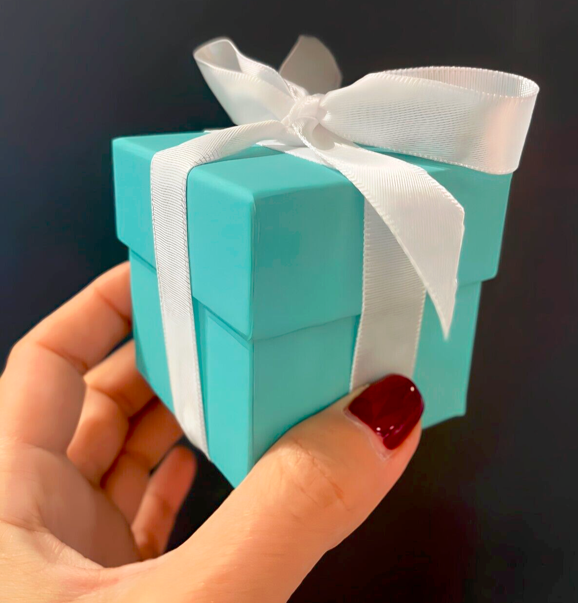 Tiffany & Co. Gift Box Packaging Pouch Iconic Engagement Ring Blue