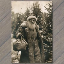 POSTCARD Vintage Vibe Santa Claus Poses Christmas Tree Nostalgic Charm XMAS