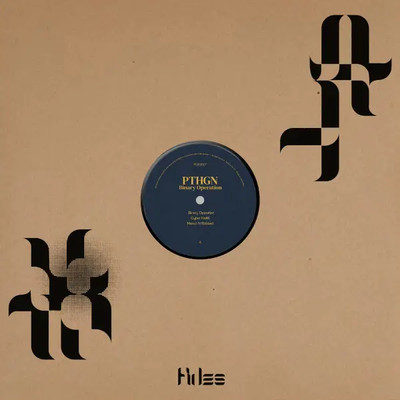 Pthgn Binary Operation EP Vinyl Single 12inch NEAR MINT Fides
