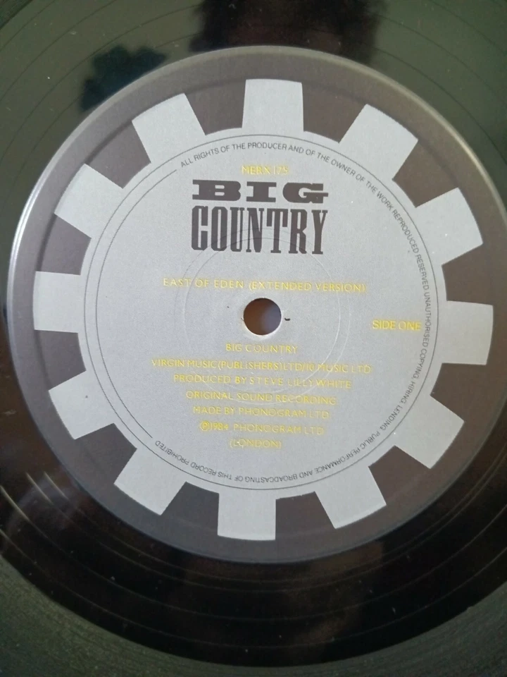 BIG COUNTRY East of Eden Extended & Lp Mix / Prairie Rose  UK 12 Inch 45  MINT. - Image 4 of 4