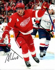 ANDREW COPP DETROIT RED WINGS GOAL CELLY 8X10 AUTOGRAPHED SIGNED PHOTO COA