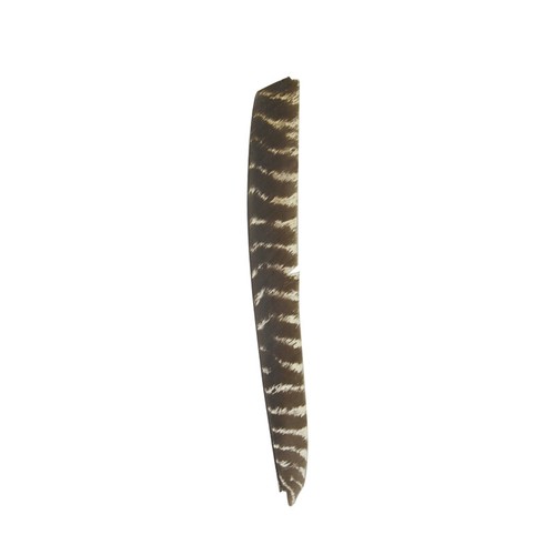 Full Length Archery Natural Turkey Feather Fletching Right Left Wings DIY Arrows - Picture 13 of 14