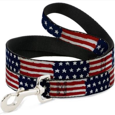 Stars & Stripes Painting Dog Leash by Buckle-Down