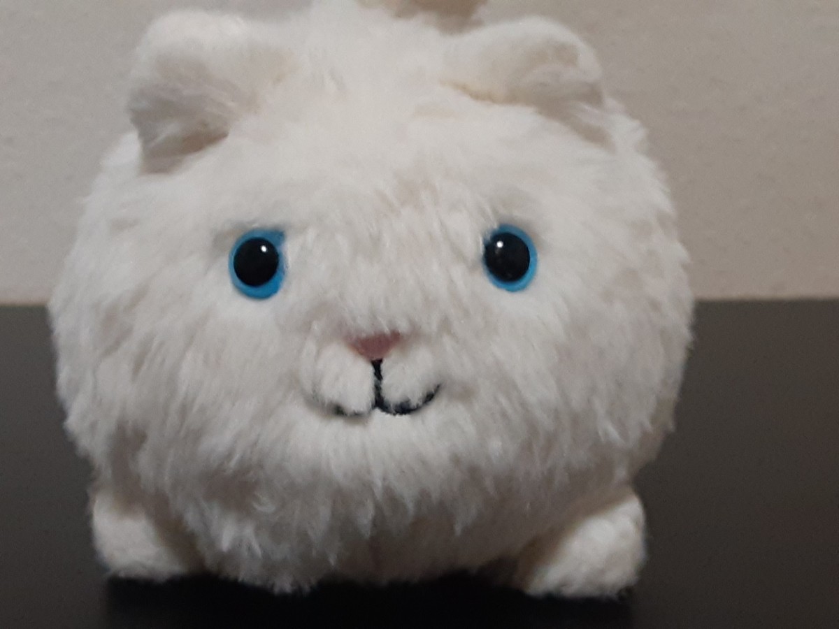 Jellycat of London White Kitten Caboodle and Tan Caboodle Puppy