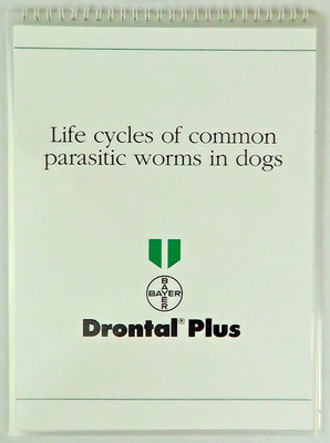 Life Cycles Of Common Parasitic Worms In Dogs, Bayer Veterinary Illustrated