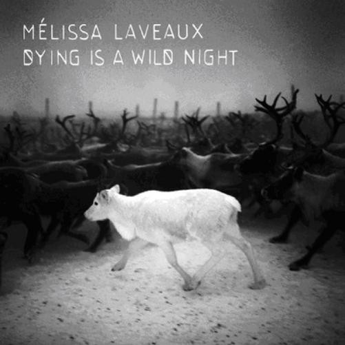 Melissa Laveaux Dying - это альбом Wildnight (CD).