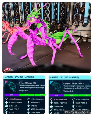 ark survival ascended pve JOKER MANTIS ZUCHTPAAR LEVEL 325
