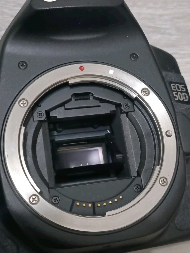 Canon EOS 50D, photo 3 of 5