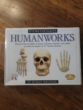 Eyewitness Kits Humanworks 18" Human Skeleton new in box cast, paint, assemble