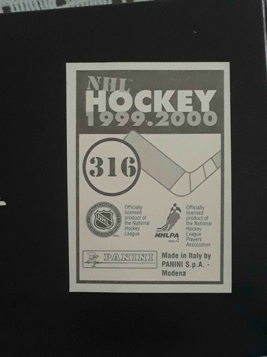 Panini NHL Hockey 1999 2000 99 00 ELIGE CUALQUIER PEGATINA CASI NUEVA/COMO NUEVA #201-360# - Imagen 213 de 297