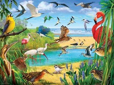 Florida Birds 1000-Piece Jigsaw Puzzle 20x27"