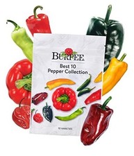  Best Collection | 10 Packets of Non-GMO Fresh Mix of Best 10 Pepper Collection