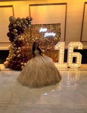 Quince Women's Dress