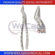 PREMIUM DENTAL EXTRACTING TOOTH SURGERY UPPER ROOT TIP EXTRACTION FORCEPS #51