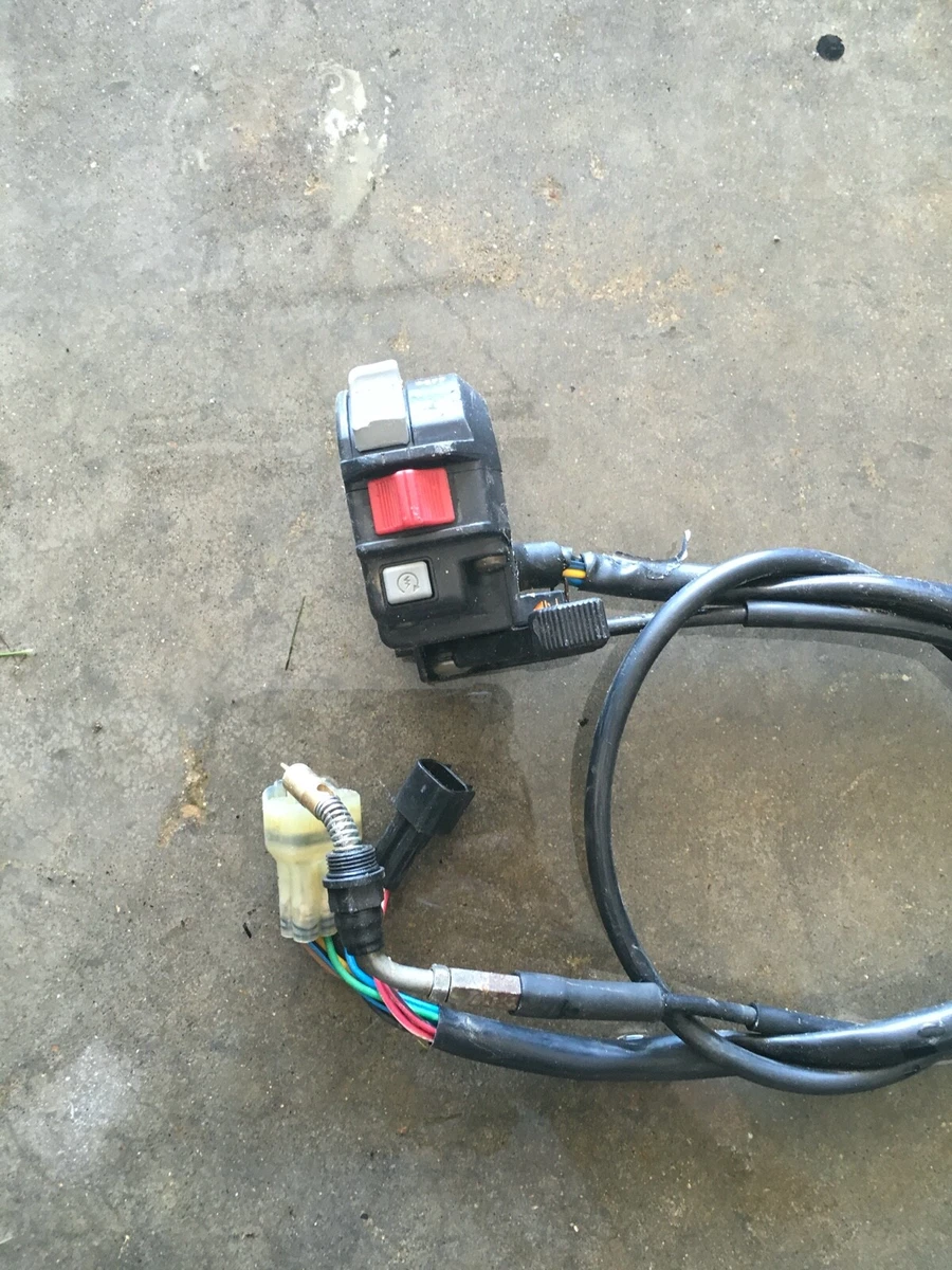 Raptor 660 Choke Cable