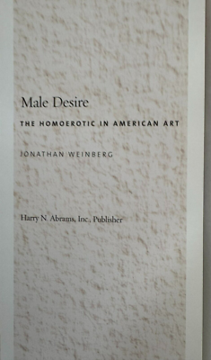 Male Desire: The Homoerotic in American Art Jonathan Weinberg HC