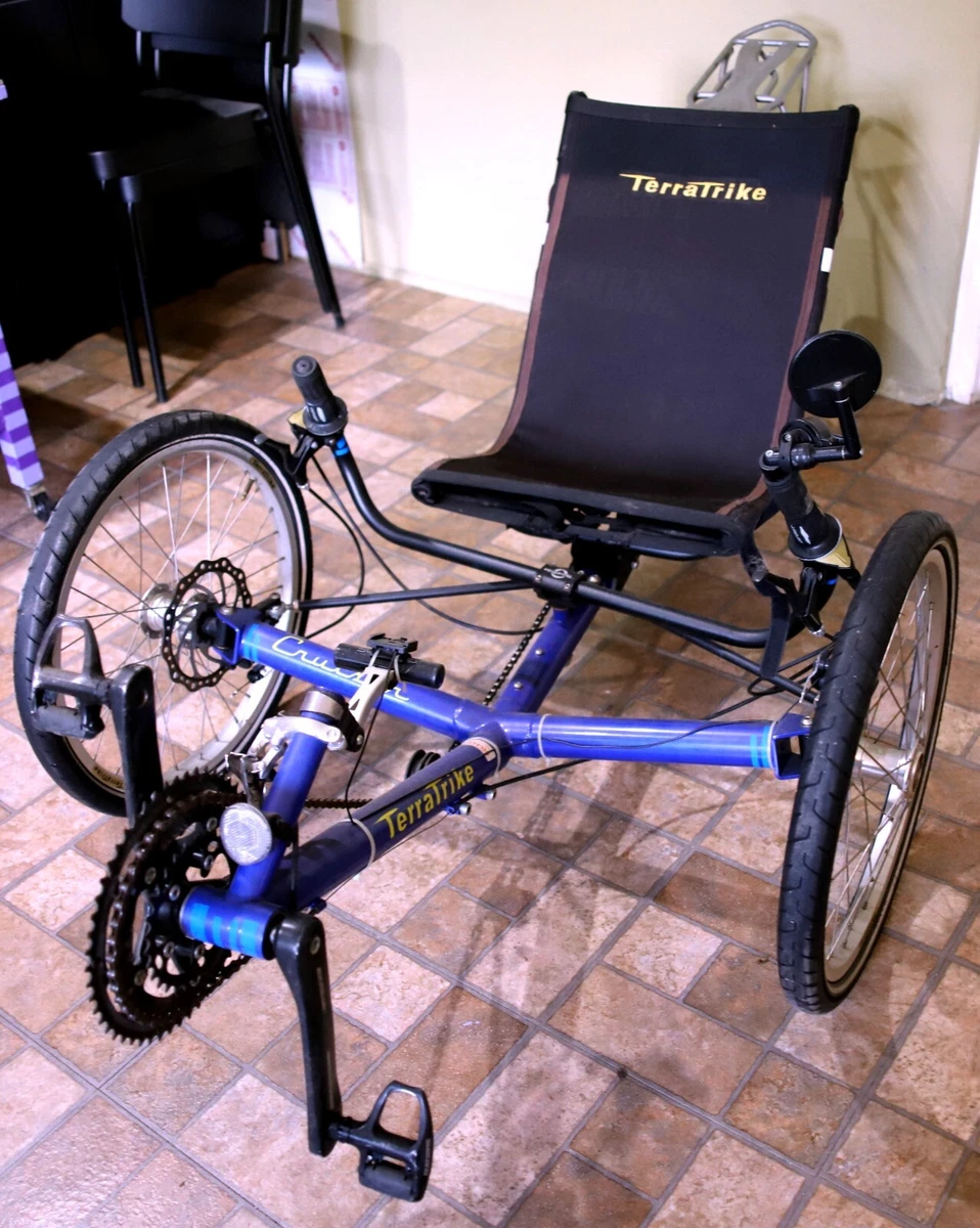 Recumbent trike trailer sale