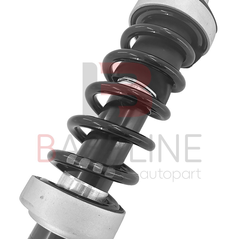Audi R8 2009-2015 Front Adaptive dampers 4 pcs P/N 420412020Q