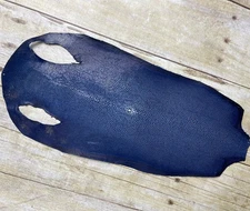 Blue Genuine Polished Sanded Stingray Hide Skin Sting Ray Leather Shagreen 975