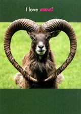 Designer Greetings Ram with Heart Shaped Horns Love Card