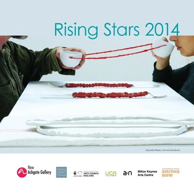 New Ashgate Gallery | Rising Stars 2014 | Taschenbuch | Englisch (2014)