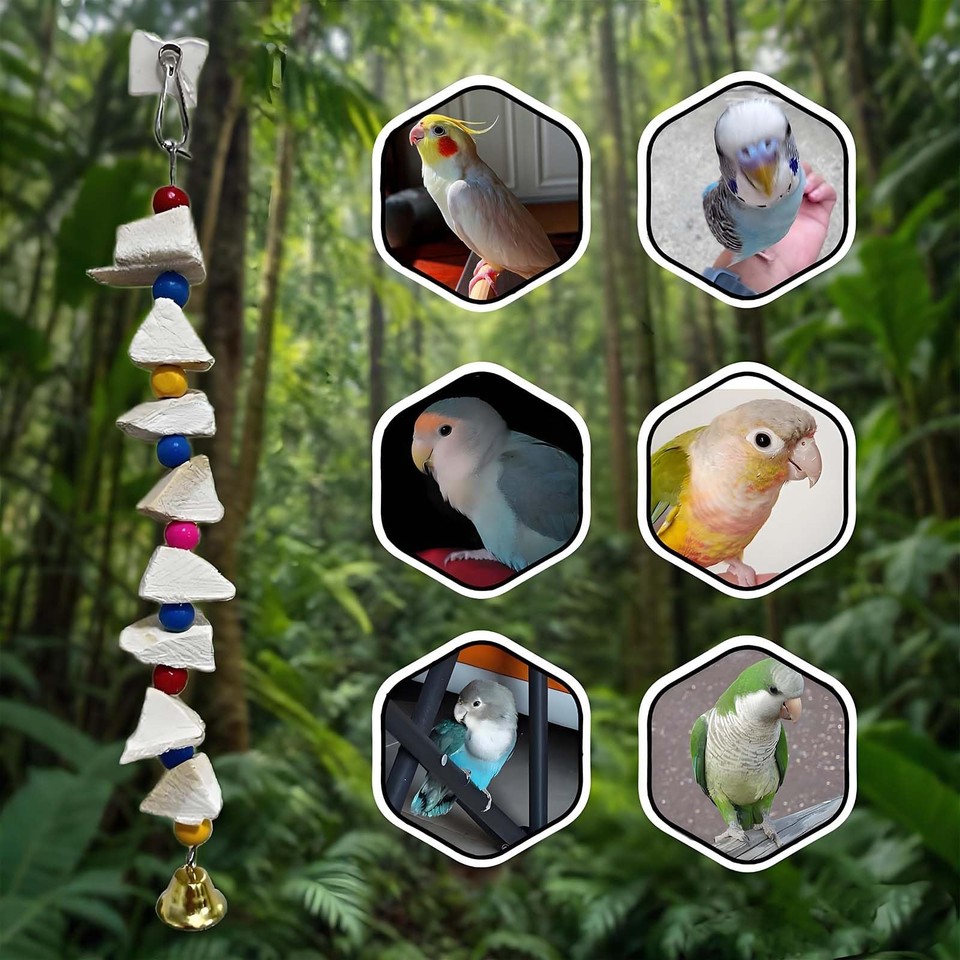 Snapshot of Bird Toys For Stopping Beak Overgrowth