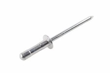 Genuine GM F Rivet 11603582